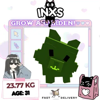 HUGE GIANTBEAN TANUKI