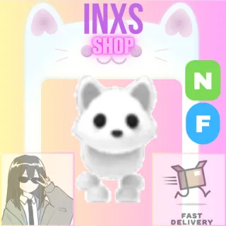 NF ARCTIC FOX