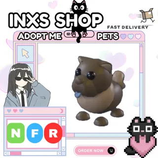 NFR CHOCOLATE CHOW-CHOW 