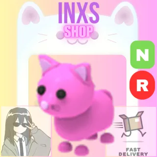 NR PINK CAT