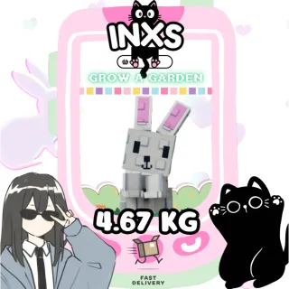 MEGA BUNNY (4.67 KG)