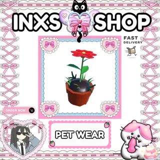 GROWING FLOWER HAT