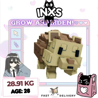 TITANIC SHOCKED HEDGEHOG