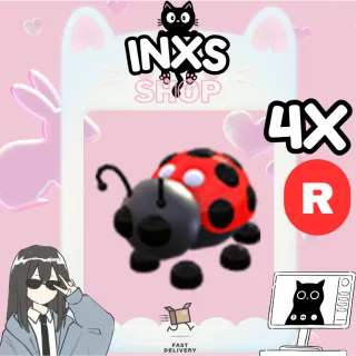 R LADYBUG 4X