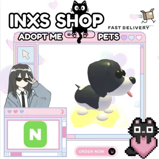 NEON BLACK SPRINGER SPANIEL 