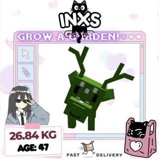 HUGE GIANTBEAN SPOTTED DEER