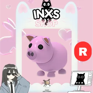 R PIG