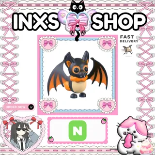 NEON INDIAN FLYING FOX