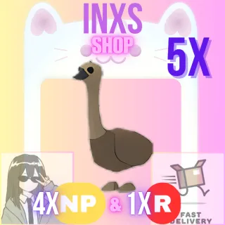 EMU 5X