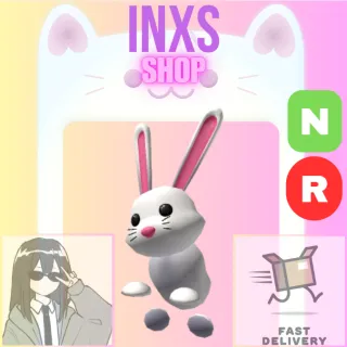 NR BUNNY