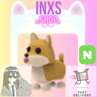 N SHIBA INU