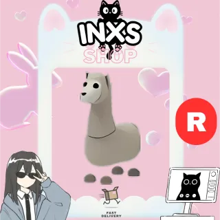 R LLAMA