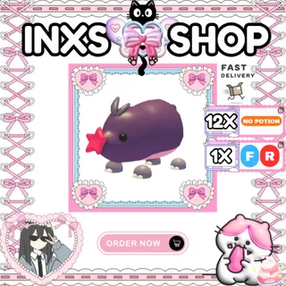 MOLE 13X