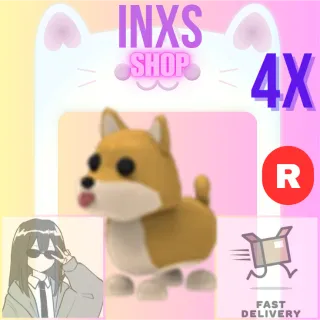 R SHIBA INU 4X