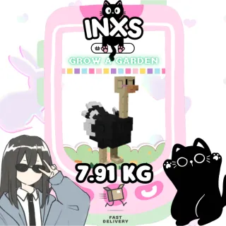 MEGA OSTRICH (7.91 KG)