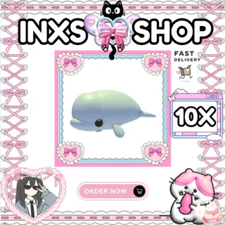 BELUGA WHALE 10X