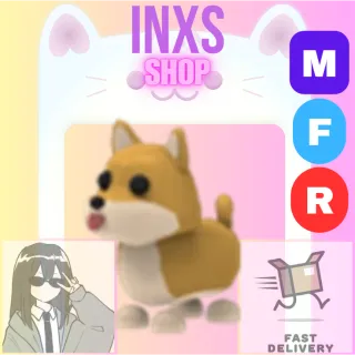 MFR SHIBA INU