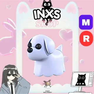 MR GHOST DOG