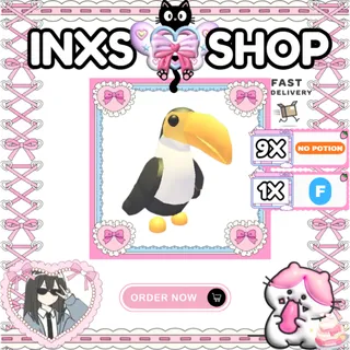 TOUCAN 10X