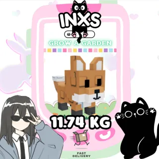 MEGA RED FOX (11.74 KG)