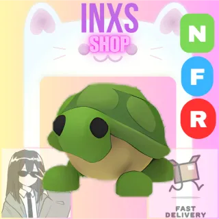 NFR TURTLE