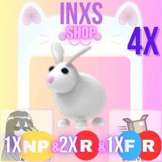 RABBIT 4X