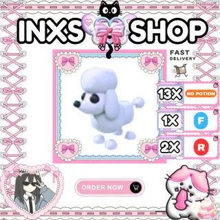 POODLE 16X