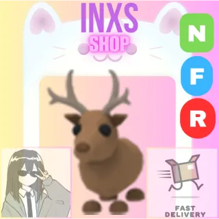 NFR REINDEER