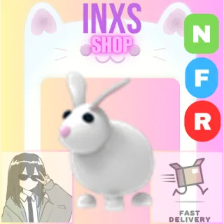 NFR RABBIT