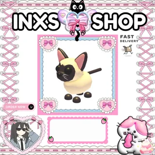 SIAMESE CAT