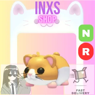 NR HAMSTER