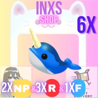 NARWHAL 6X