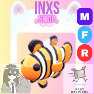 MFR CLOWNFISH