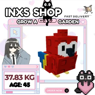 SEMI-TITANIC RAINBOW SCARLET MACAW