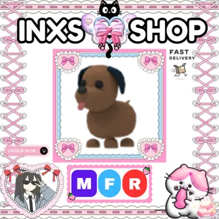 MFR CHOCOLATE LABRADOR