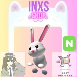 N BUNNY