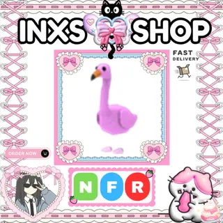 NFR FLAMINGO