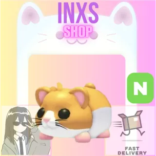 N HAMSTER