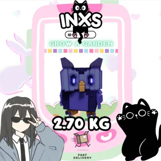 RAINBOW NIGHT OWL (2.70 KG)