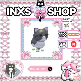 PERSIAN CAT 14X