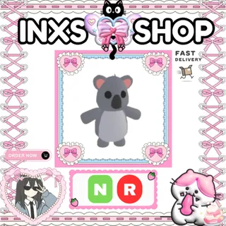 NR KOALA 
