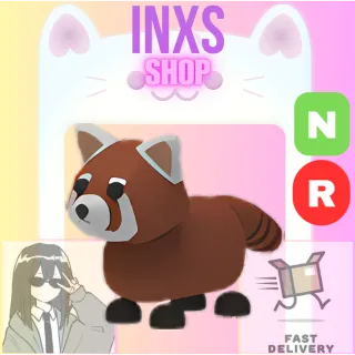 NR RED PANDA