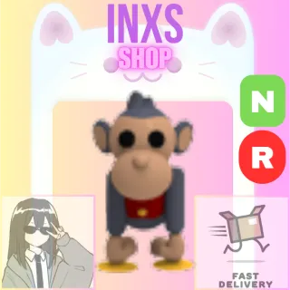 NR TOY MONKEY