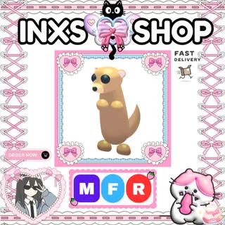 MFR MEERKAT