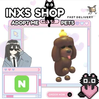 NEON IRISH WATER SPANIEL