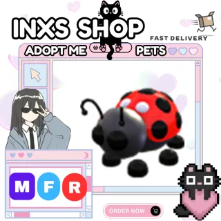 MFR LADYBUG