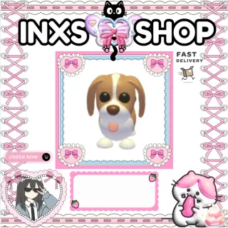 BROWN SPRINGER SPANIEL 