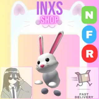 NFR BUNNY