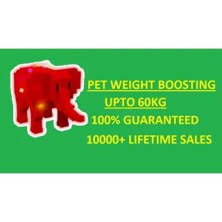 Pet Weight Boosting Service Upto 60/61kg