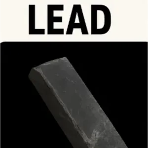 10K Lead